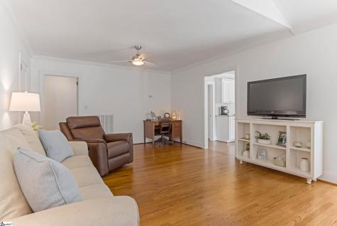 23 Buist Avenue Greenville SC 29609