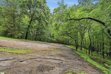 211 Narrow Way Travelers Rest SC 29690