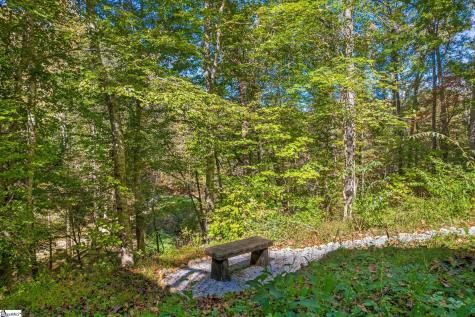 262 Belvoir Drive Pickens SC 29671