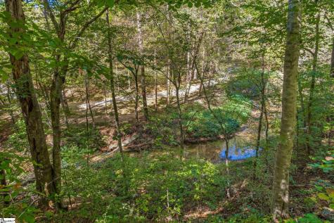262 Belvoir Drive Pickens SC 29671