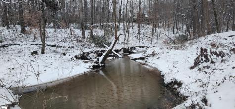 262 Belvoir Drive Pickens SC 29671