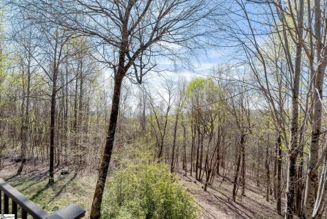 33 Witch Hazel Trail Landrum SC 29356