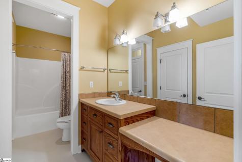 33 Witch Hazel Trail Landrum SC 29356