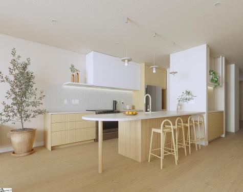 20 Ethel Street Greenville SC 29601