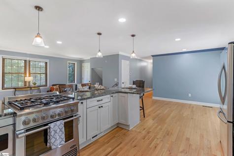 17 Zelma Drive Greenville SC 29617
