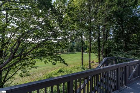 15 Blazing Star Trail Landrum SC 29356