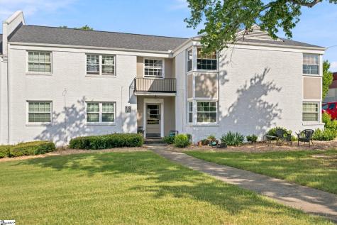 100 Lewis Drive Greenville SC 29605