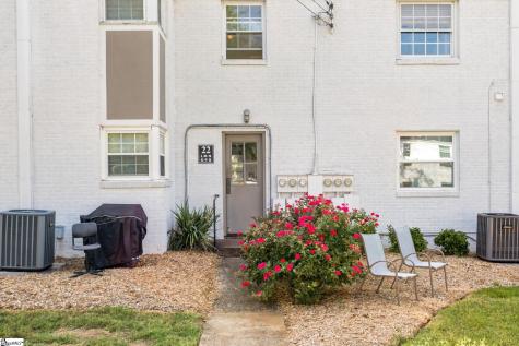 100 Lewis Drive Greenville SC 29605