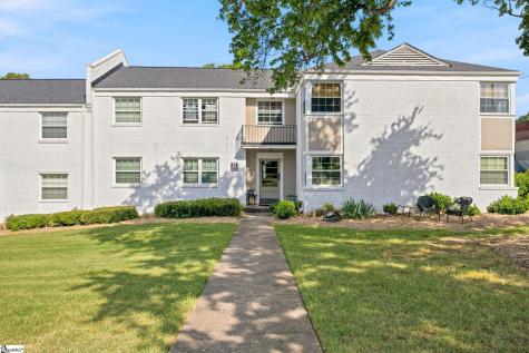 100 Lewis Drive Greenville SC 29605