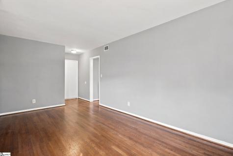 100 Lewis Drive Greenville SC 29605