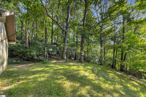 3605 Skyuka Mountain Road Columbus NC 28722