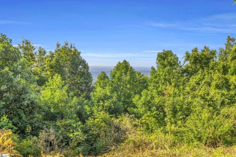 3605 Skyuka Mountain Road Columbus NC 28722