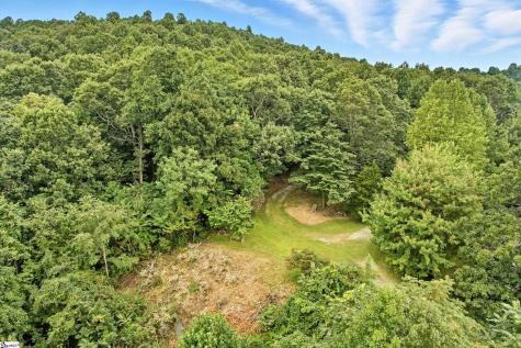 3605 Skyuka Mountain Road Columbus NC 28722
