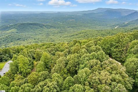 3605 Skyuka Mountain Road Columbus NC 28722