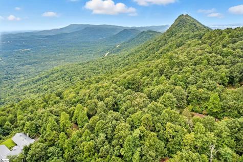 3605 Skyuka Mountain Road Columbus NC 28722