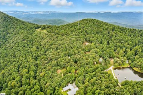 3605 Skyuka Mountain Road Columbus NC 28722