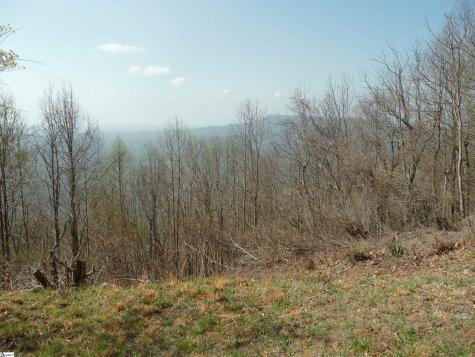 3605 Skyuka Mountain Road Columbus NC 28722