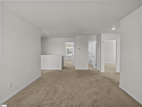 1313 Chamomile Court Lyman SC 29365