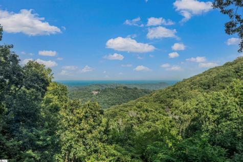 6 Eagle Rock Road Landrum SC 29356
