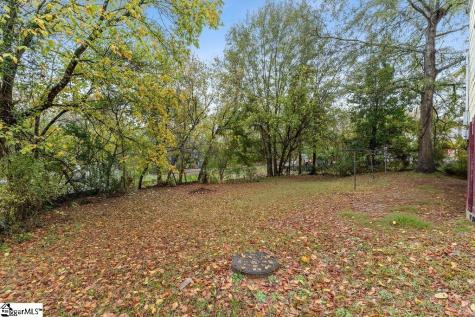 309 Flat Drive Buffalo SC 29321