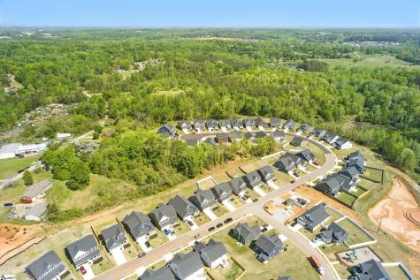 229 Hollythorpe Lane Fountain Inn SC 29644