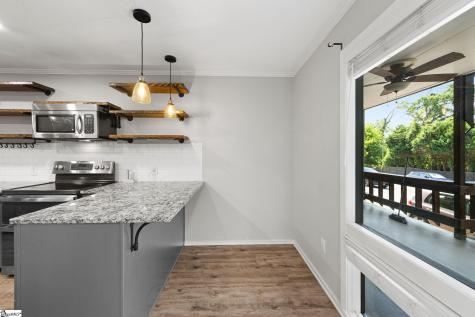 311 W Earle Street Greenville SC 29609