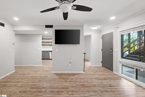 311 W Earle Street Greenville SC 29609