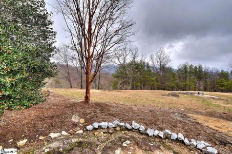 21 Eagle Rock Road Landrum SC 29356