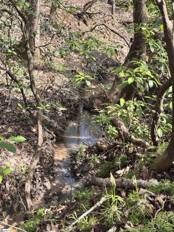 218 Sweetbriar Way Easley SC 29640