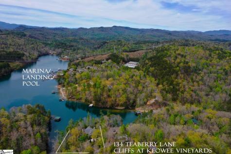 134 Teaberry Lane Sunset SC 29685