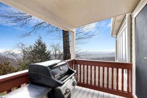 118 Blue Teal Way Landrum SC 29356