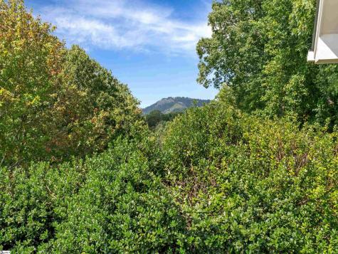 118 Blue Teal Way Landrum SC 29356