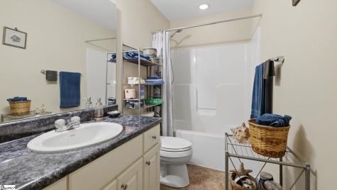 145 Brookwood Creek Drive Landrum SC 29356