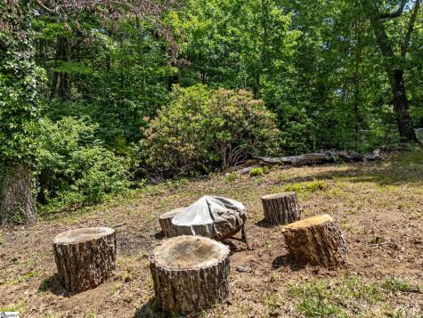 707 Dogwood Trail Tryon NC 28782