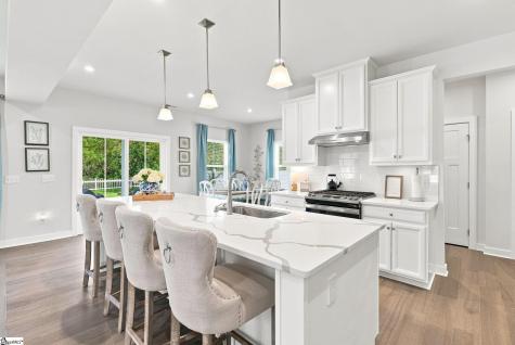 303 Wyandot Way Greenville SC 29607