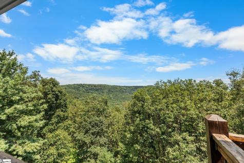 6 Little Bottom Road Landrum SC 29356