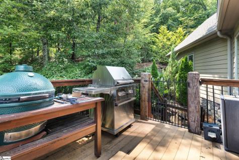 6 Little Bottom Road Landrum SC 29356