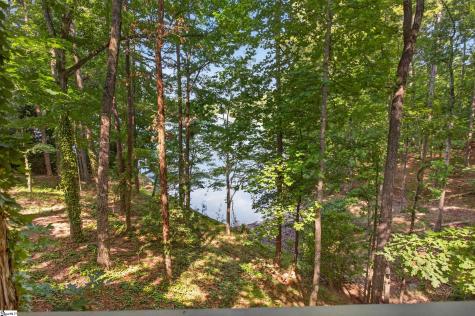 12 Lookout Lane Salem SC 29676
