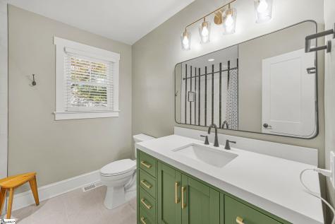 325 Townes Street Extension Greenville SC 29609