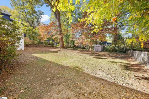 325 Townes Street Extension Greenville SC 29609