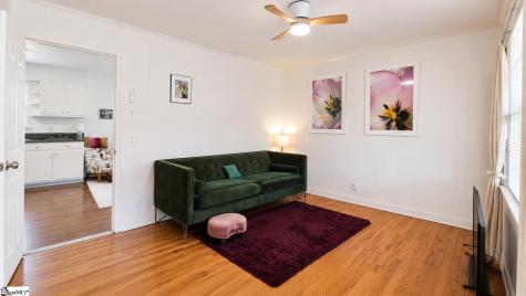 16 Theodore Circle Greenville SC 29611