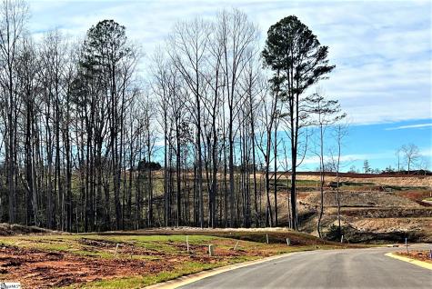 2593 S. Christo Lane Wellford SC 29384