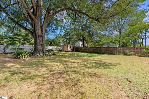 205 Carolina Avenue Greenville SC 29607