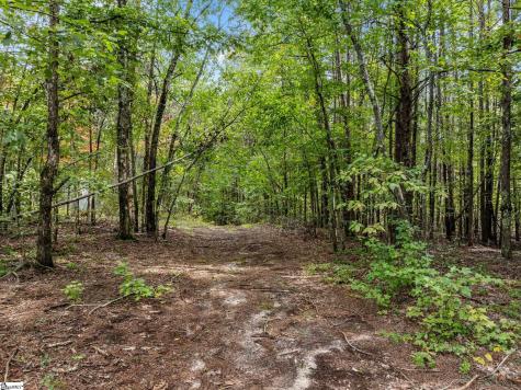 360 Greenwood Road Landrum SC 29356