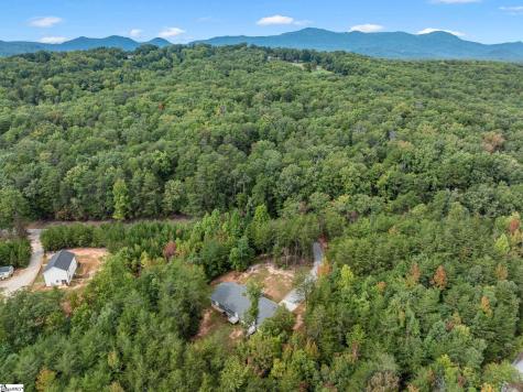 360 Greenwood Road Landrum SC 29356