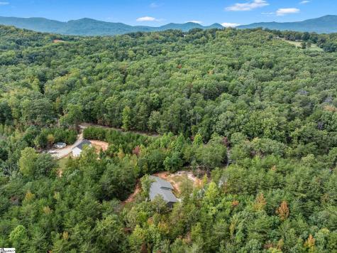 360 Greenwood Road Landrum SC 29356