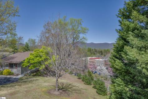 77 Chestnut Street Tryon NC 28782