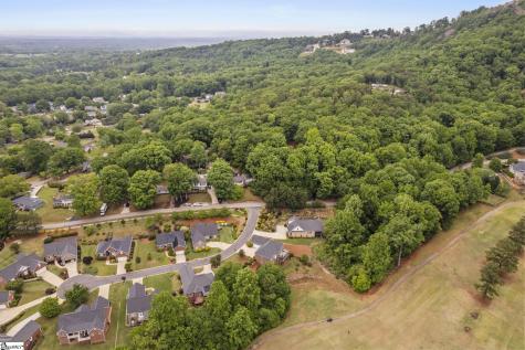 9 Belle Terre Court Greenville SC 29609