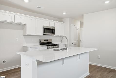 25 New Dunham Bridge Road Greenville SC 29611