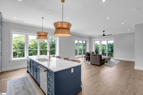 95 Dr. David C. Francis Street Greenville SC 29601